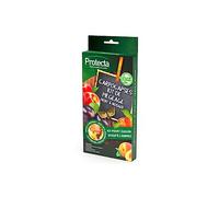 Protecta - Carpocapses : kit de piégeage Fruits à noyaux