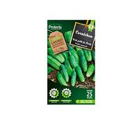 Protecta - Cornichon vert petit de Paris
