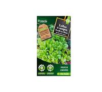 Protecta - Laitue à couper feuille de chêne blonde