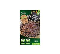 Protecta - Laitue à couper Red Salad Bowl