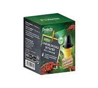 Protecta - Piège à phéromone charançon rouge du palmier