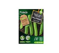 Protecta - Pois nain à grain rond Douce Provence