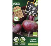 PROTECTA Semence Betterave Noire d'Egypte BIO