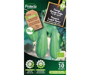 PROTECTA Semence Courge Eponge Luffa BIO