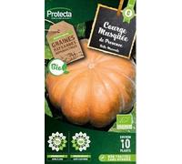 PROTECTA Semence Courge musquée de Provence BIO