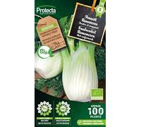 PROTECTA Semence Fenouil Romanesco BIO