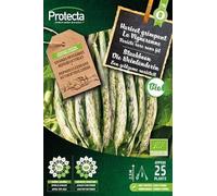 PROTECTA Semence Haricot grimpant La Vigneronne BIO