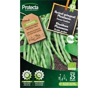 PROTECTA Semence Haricot grimpant Phénomène BIO