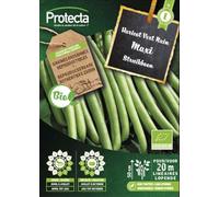 PROTECTA Semence Haricot Vert Nain Maxi BIO
