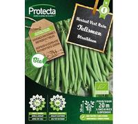 PROTECTA Semence Haricot Vert Nain Talisman BIO