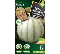 PROTECTA Semence Melon charentais précoce du Roc BIO