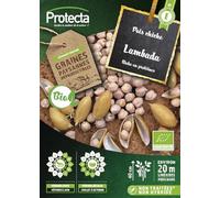 PROTECTA Semence Pois chiche Lambada BIO