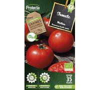 PROTECTA Semence Tomate Matina BIO