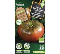 PROTECTA Semence Tomate Noire de Crimée BIO