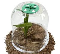Protecteurs de de cloche de jardin - Couvertures de semences transparentes imperméables, protection durable des pour les jardins extérieurs d'hiver Cloche Plannt Protector For