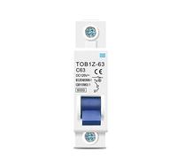 Protecteurs de fuite à la terre DC 6KA 1P 125V Mini Disjoncteur 3A 6A 10A 16A 20A 25A 32A 40A 50A 63A 1 pièces (Size : 10A)