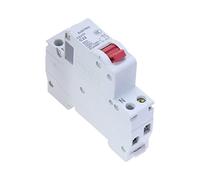 Protecteurs de fuite à la terre Disjoncteur 6A 10A 16A 25A 32A 40A DPN 1P+N 4.5KA 230V DZ47P MCB 1 pièces (Size : 25A)