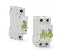 Protecteurs de fuite à la terre Disjoncteur Courbe C MCB 1P 2P 1A 6A 10A 16A 20A 25A 32A 40A 50A 63A Disjoncteur Miniature 6KA 110V/230V 50/60HZ avec Certification CE (Color : C20, Size : 2)
