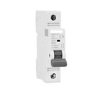 Protecteurs de fuite à la terre Disjoncteur Gym9-125 MCB 1p 80A 100A 125A AC C. Curve Switch Largeur 17,8 mm 230/40 0V 6ka (Color : 100a, Size : 1 Pole C Curve)