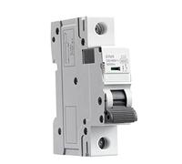 Protecteurs de fuite à la terre GYM9 1P 6KA capacité de rupture Rail 220V 400V Mini disjoncteur 6A-63A AC Type 1 pièces (Color : 50a, Size : 1 Pole C Curve)