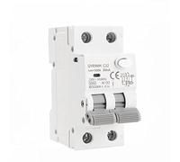 Protecteurs de fuite à la terre GYR9NM disjoncteur magnétique de Type ca avec Rail de Protection contre les surintensités et les fuites 10A 16A 25A 32A 40A 1 pièces (Color : 2p 10a, Size : 300mA)