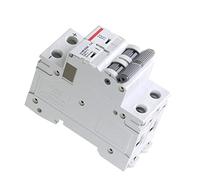 Protecteurs de fuite à la terre Rail DC MCB 6KA 2P 500V Mini disjoncteur DC 6A 10A 16A 20A 25A 32A 40A 50A 63A 1 pièces (Color : 50a, Size : GYM9 DC MCB 2P)