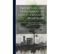 Protection And Development Of Lower Colorado River Basin: Hearings Before The Committee On Irrigation Of Arid Lands: House Of Representatives, Sixty-S