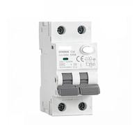 Protection contre les fuites, interrupteur pneumat Type A RCBO 2P 4P Magnetic Residual Current Circuit Breaker with Over Current Protection 10A 16A 25A 32A 40A 30mA(2P 10A 30mA)