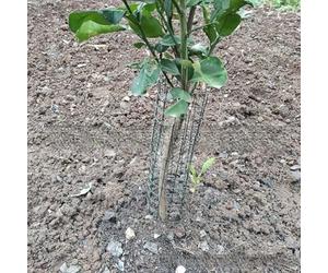 Protection de tronc d'arbre en maille métallique pour protéger les jeunes arbres contre les dommages causés par la faune et les risques de tonte, avec attaches et clous de sol (A)