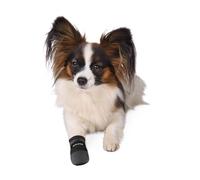 Protection des pattes Walker Care noir