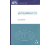protection du consommateur, pratiques commerciales et t.i.c