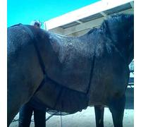 Protection du ventre pour - Couverture abdominale en maille respirante pour | Protection abdominale réglable et ventilée pour | Filet abdominal respirant, bande ventrale, couverture de plafond a