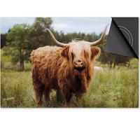 Protection induction 60x60 - plaque de recouvrement induction mat- Dietrix protection table de cuisson- Base - Scottish Highlander 1 - Dans la prairie