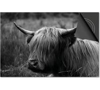 Protection induction 71x52 - plaque de recouvrement induction mat- Dietrix protection de table de cuisson- DELUXE - Scottish Highlander 2 - Noir Blanc côté achat