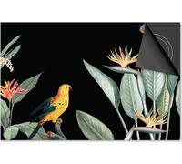 Protection induction 76x51,5 - plaque de recouvrement induction mat- Dietrix protection de table de cuisson- Base - Jungle Noir Oiseau-feuille