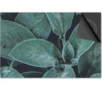 Protection induction 77x51 - plaque de recouvrement induction mat- Dietrix protection de table de cuisson- Exclusif - Feuilles - 24 Feuilles LégèresVertes