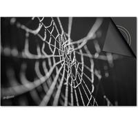 Protection induction 77x51 - plaque de recouvrement induction mat- Dietrix protection table de cuisson- Exclusif - Automne - toile d'araignée noir blanc
