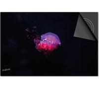 Protection induction 78x52 - plaque de recouvrement induction matt- Dietrix Protection de table de cuisson- DELUXE - Under the Sea - Méduse Rose Rouge