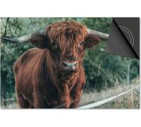 Protection induction 83x51,5 - plaque de recouvrement induction mat- Dietrix protection de table de cuisson- DELUXE - Scottish Highlander 11 - gros plan sur un jeune animal