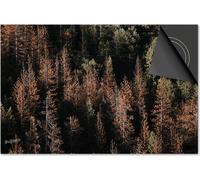 Protection induction 83x51,5 - plaque de recouvrement induction mat- Dietrix protection table de cuisson- DELUXE - Automne - Forêt vue d'en haut