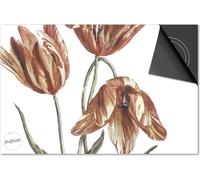 Protection induction 90x52 - plaque de recouvrement induction mat- Dietrix protection table de cuisson- Base - Botanical - Tulipe sauvage