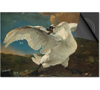 Protection induction 90x52 - plaque de recouvrement induction matt- Dietrix Protection de table de cuisson- Exclusifs - Animaux - Le cygne en voie de disparition