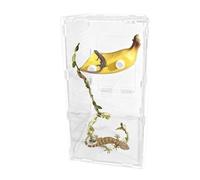 Protection magnétique pour araignées sauteuses en résine 12 x 4 x 6 cm avec 50 cm de corde de 50 cm Décoration pour terrarium et jardin d'enfants Accessoires pour l'habitat naturel des araignées