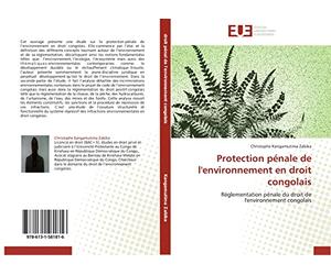 Protection pénale de l'environnement en droit congolais: Réglementation pénale du droit de l'environnement congolais