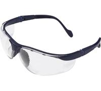 protectionworld Lunettes de protection Eagle Eye + 2,5 2012010