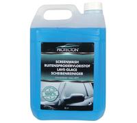 Protecton 1890915 Lave-glace d'hiver