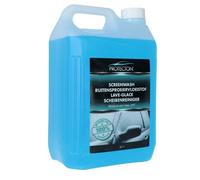 Protecton 1890917 Lave-glace d'hiver