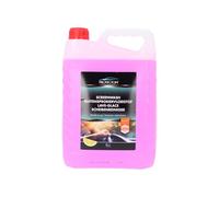 Protecton Lave-Glace été 5 litres