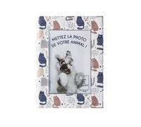 Protège carnet de santé animal grand format - Color Pop - Personnalisable photo - PVC ""Chats"" - Fabrication française - 22 x 16 cm