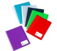 Protège document A4 Geode GEODE PROPYGLASS Viquel Polypropylène Multicolore Multicolore G